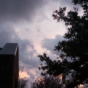 Meet your Posher, Freedom